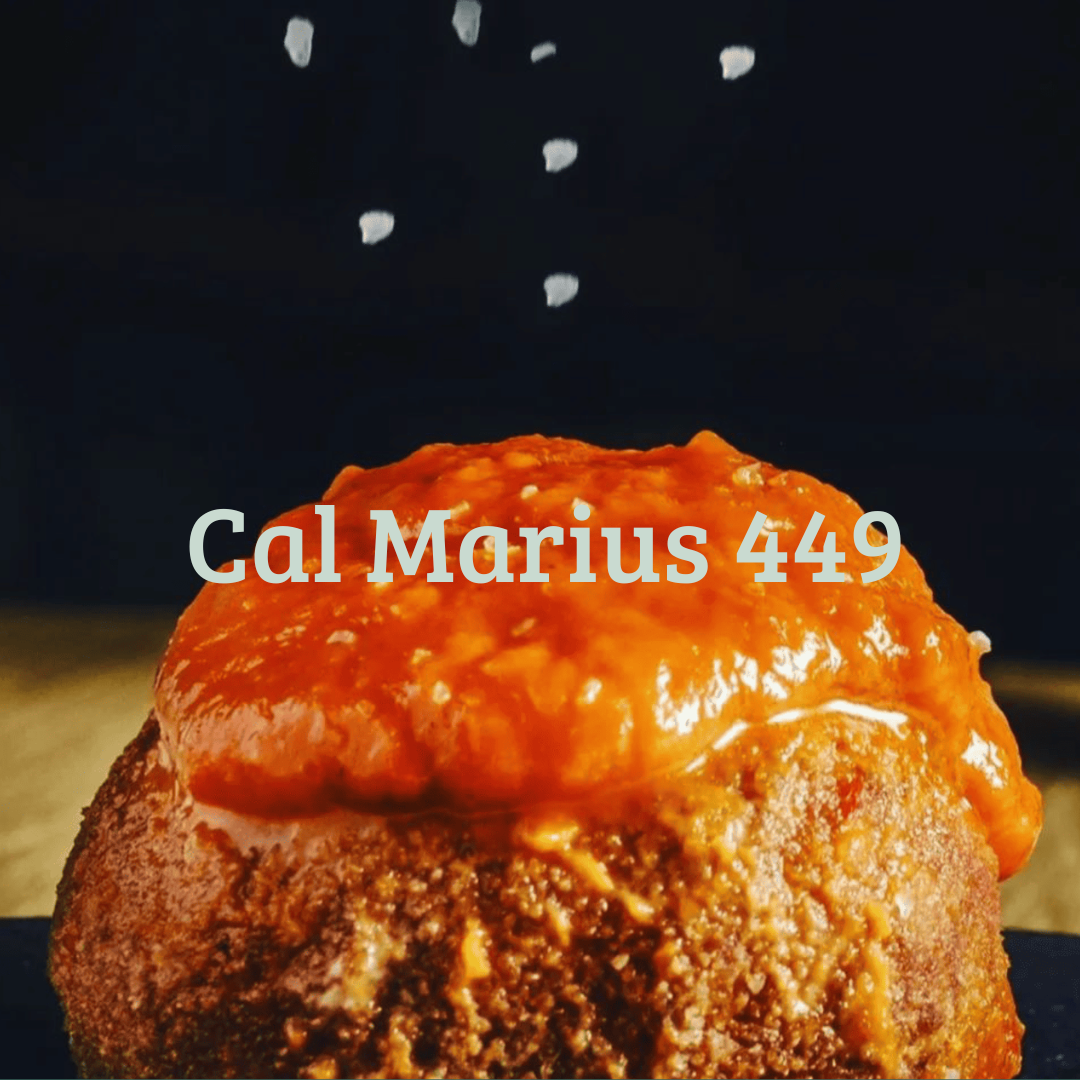 Cal Marius 449